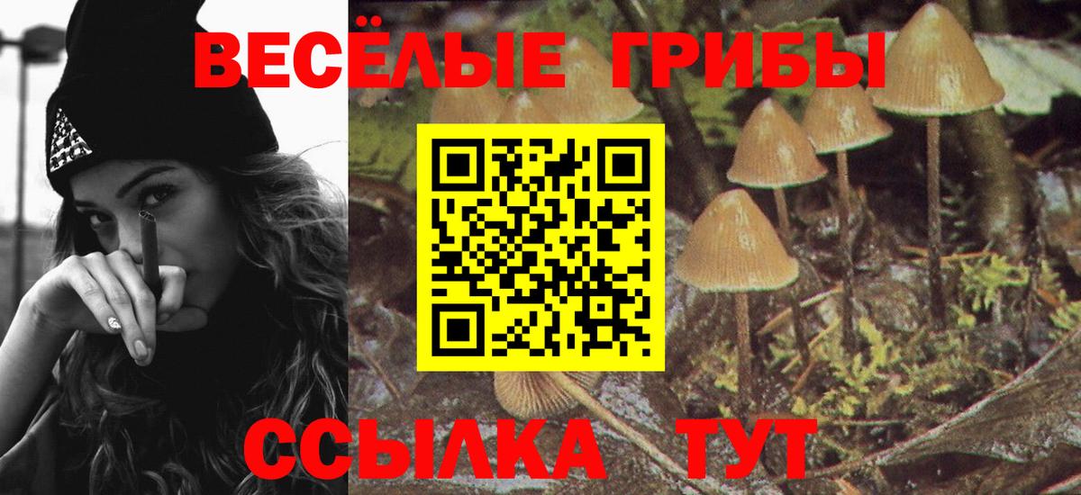 Калининград  Псилоцибиновые грибы мицелий  Псилоцибиновые грибы MAGIC MUSHROOMS  Вход с VPN 